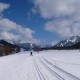 Die Maus in ihrer Not versuchts mal mit dem Schlittschuhschritt. Und endlich sind schon Gimpel und Rote Flüh am Horizont erkennbar, zu deren Füssen sich Nesselwängle als Start- und Zielort schmiegt. Vor Tannheim