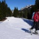 Stolz schiebt sich die Maus die Rodelbahn Richtung Krinnenalpe hinauf. Rodelbahn Krinnenalpe