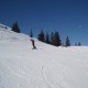 Nicht nur der Liftboy schaut fasziniert - auch der Bär freut sich, wie sensibel sein Splitboard reagiert und wie fein es sich bergab fahren lässt. Abfahrt Krinnenalpe